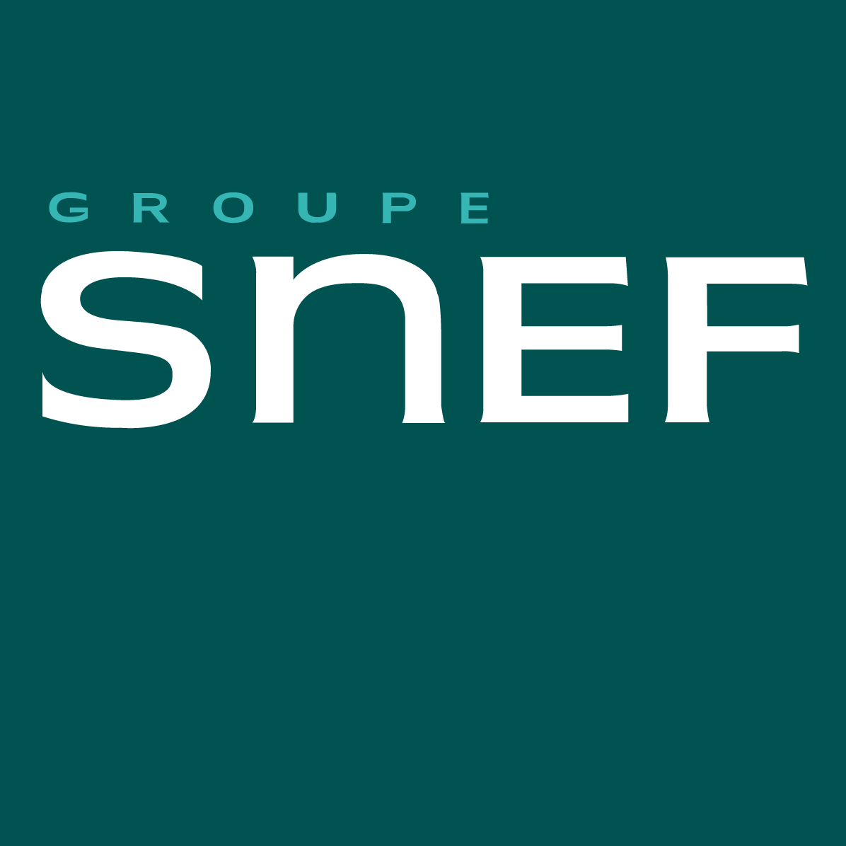 Logo Snef